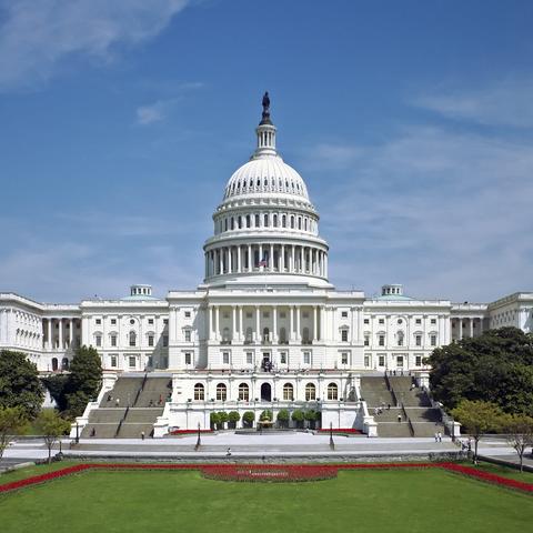 US Capitol image